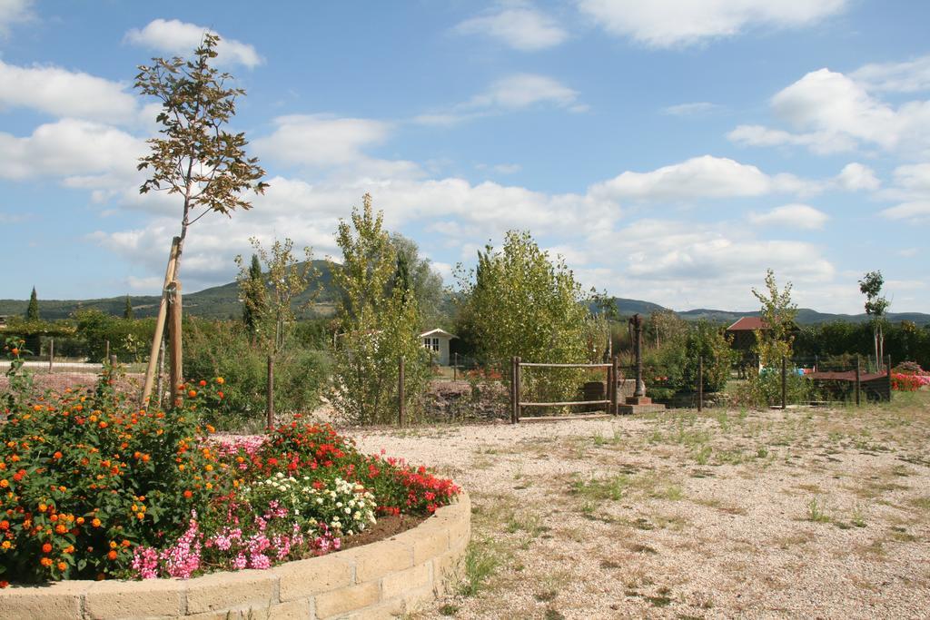 Agriresidence Debbiare Riparbella Kamer foto